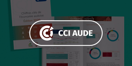 CCI Aude - Vignette Portfolio