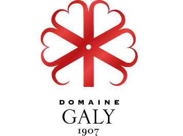 Domaine Galy - Logo