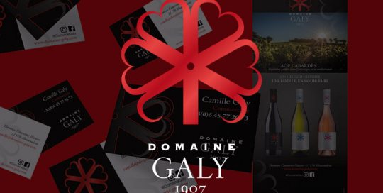 Domaine Galy - Logo