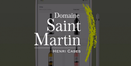 Domaine Saint-Martin - Vignette Portfolio