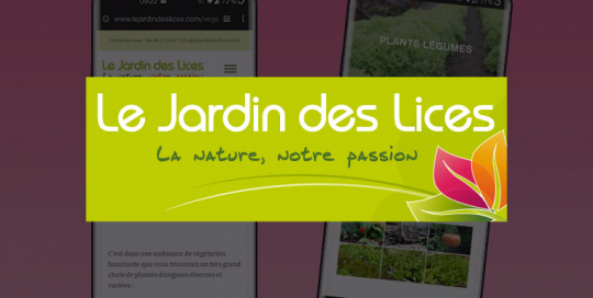 Le Jardin des Lices à Carcassonne - Vignette Portfolio