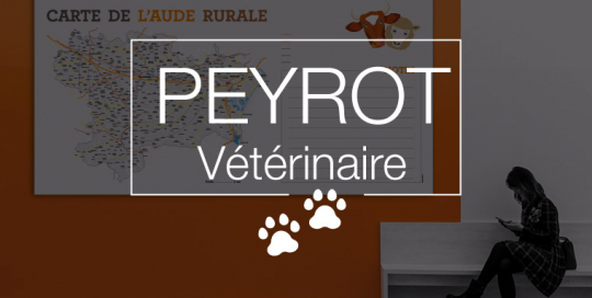Vétérinaire Peyrot à Carcassonne - Vignette Portfolio