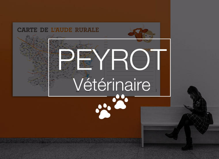 Vétérinaire Peyrot à Carcassonne - Vignette Portfolio